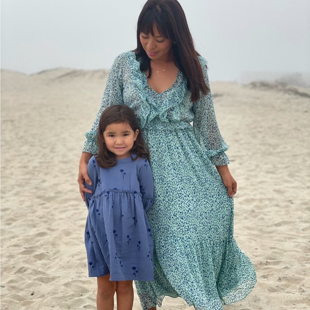 Zara Blue and White Maxi Dress